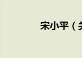 宋小平（关于宋小平介绍）