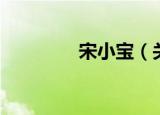 宋小宝（关于宋小宝介绍）