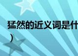 猛然的近义词是什么词是什么（猛然的近义词）