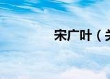 宋广叶（关于宋广叶介绍）