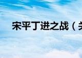 宋平丁进之战（关于宋平丁进之战介绍）