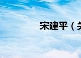 宋建平（关于宋建平介绍）