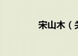 宋山木（关于宋山木介绍）