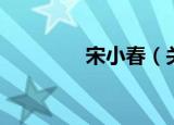 宋小春（关于宋小春介绍）