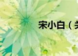 宋小白（关于宋小白介绍）