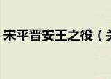 宋平晋安王之役（关于宋平晋安王之役介绍）