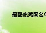最酷吃鸡网名单字（最酷吃鸡网名）