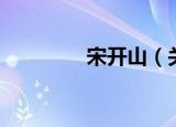 宋开山（关于宋开山介绍）