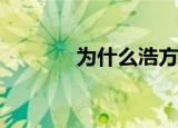  为什么浩方对战平台无法登录