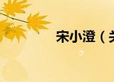宋小澄（关于宋小澄介绍）