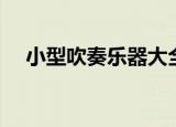小型吹奏乐器大全（最简易的吹奏乐器）