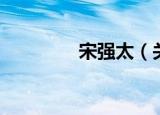 宋强太（关于宋强太介绍）