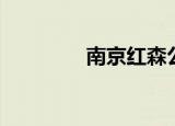 南京红森公寓（红森公寓）