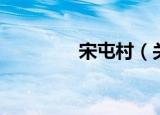 宋屯村（关于宋屯村介绍）
