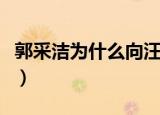 郭采洁为什么向汪峰道歉（郭采洁向汪峰道歉）