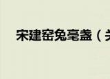 宋建窑兔毫盏（关于宋建窑兔毫盏介绍）