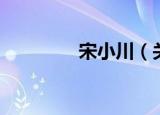 宋小川（关于宋小川介绍）