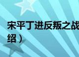 宋平丁进反叛之战（关于宋平丁进反叛之战介绍）
