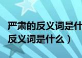 严肃的反义词是什么的反义词是什么（严肃的反义词是什么）