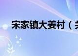 宋家镇大姜村（关于宋家镇大姜村介绍）