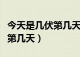 今天是几伏第几天什么时候立秋（今天是几伏第几天）