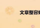文章整容蜕变（文章整容）