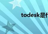 todesk是什么软件（totes）