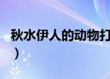 秋水伊人的动物打一生肖（秋水伊人打一生肖）
