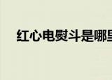 红心电熨斗是哪里生产的（红心电熨斗）