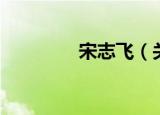 宋志飞（关于宋志飞介绍）