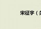 宋征宇（关于宋征宇介绍）