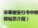 宋摹谢安行书中郎帖页（关于宋摹谢安行书中郎帖页介绍）