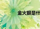金火眼是什么生肖（金火眼）