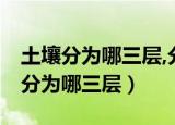 土壤分为哪三层,分别是底土层,心土层（土壤分为哪三层）