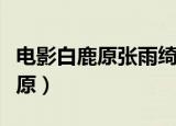 电影白鹿原张雨绮演的好吗（张雨绮电影白鹿原）