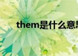 them是什么意思（their是什么意思）