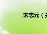 宋志元（关于宋志元介绍）