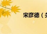 宋彦德（关于宋彦德介绍）