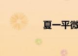 夏一平微博（夏凡微博）
