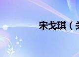 宋戈琪（关于宋戈琪介绍）
