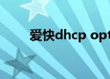 爱快dhcp option60（option60）