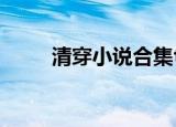 清穿小说合集txt（清穿小说合集）