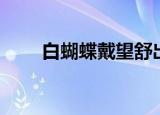 白蝴蝶戴望舒出处（白蝴蝶戴望舒）