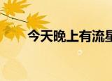 今天晚上有流星雨吗几点2021年8月