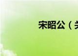 宋昭公（关于宋昭公介绍）