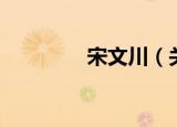 宋文川（关于宋文川介绍）