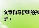 文章和马伊琍的孩子图片（文章和马伊琍的孩子）
