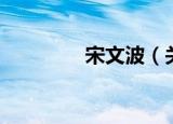 宋文波（关于宋文波介绍）