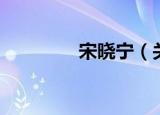 宋晓宁（关于宋晓宁介绍）
