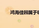 鸿海佳园属于哪个社区（鸿海佳园）